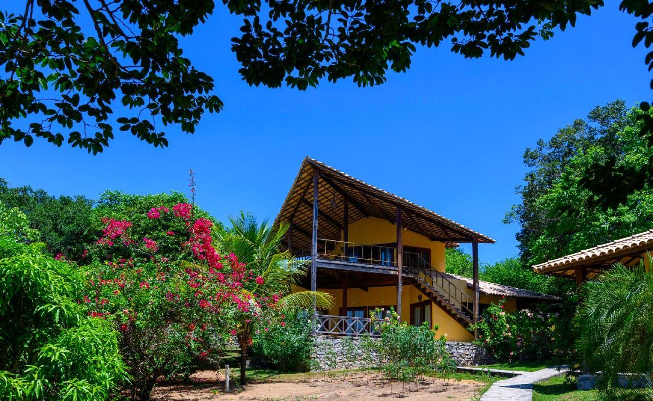 Pipa - Tlbau Do Sul