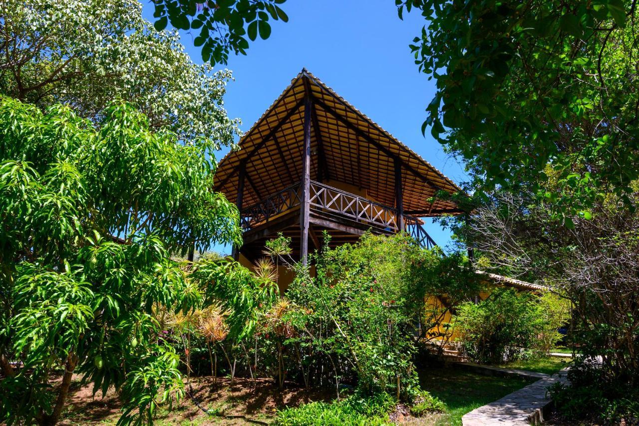 Pipa - Tlbau Do Sul