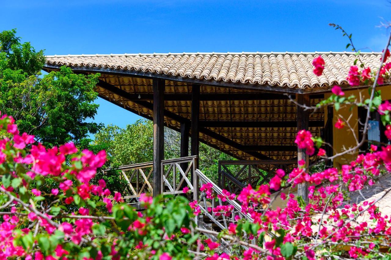 Pipa - Tlbau Do Sul